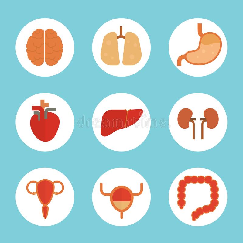 终于来了!新版安卓9.0曝光:系统大瘦身-必一(图2) 必一