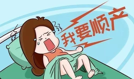 Bsports必一体育_取消行政性职业资格认证之后(图3) b体育