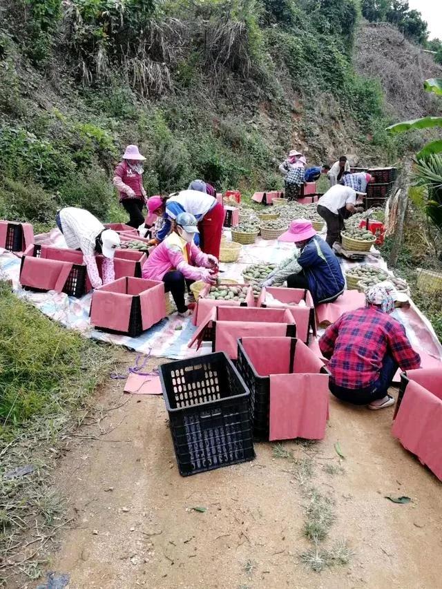 安徽首次探获稀有超级金属铼【必一】(图2) Bsports必一体育