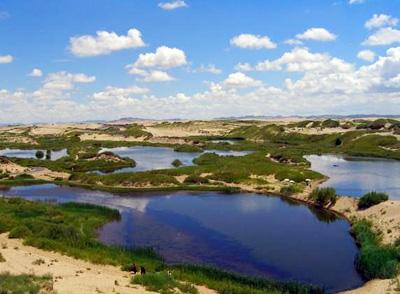 贾平凹《自在独行》:10句经典语录,戳中成年人的心,忍不住落泪:必一(图1) 必一