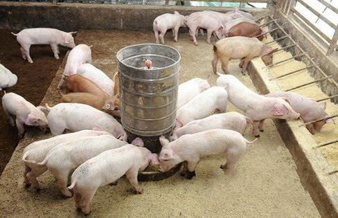 必一_随礼也要有对等意识(图1) b体育