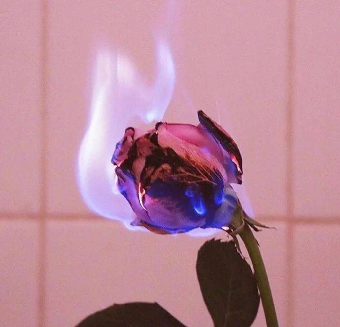 晚放心情说说短句:给你多次偷偷点开头像的谁人人说一句话吧-b体育(图28)
晚放心情说说短句:给你多次偷偷点开头像的谁人人说一句话吧-b体育(图28)