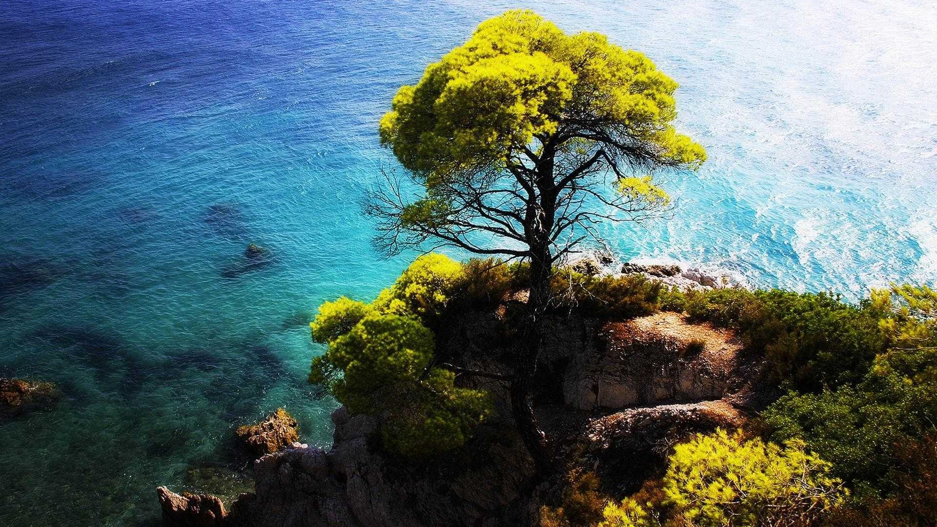 必一|精准把脉大气环境监测天津智易重磅推出三大产品(图4) 必一