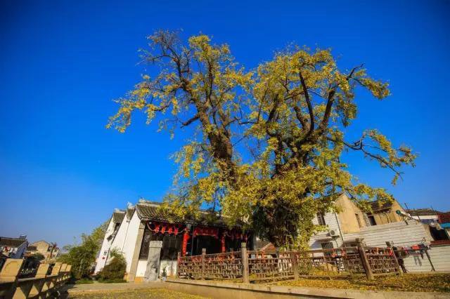 ‘必一’
天上飘来一个1500块钱的问题(图3) Bsports必一体育