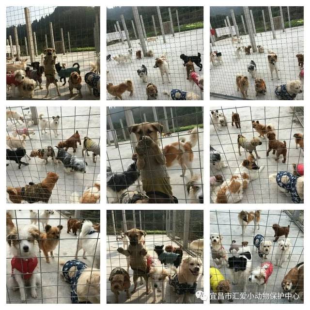 ‘必一’国家税务总局发布新版应对疫情税费优惠政策_政策法规_新闻_矿道网(图3) 必一